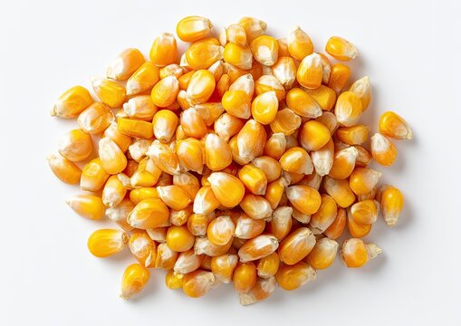 Pile of uncooked golden maize kernels, top-down shot on a white background