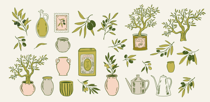 Vintage hand drawn olive tree branches with leaves, ceramic pots and vases and olive oil icons and logos