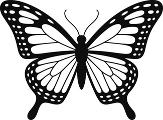 Stylized black and white illustration of a monarch butterfly with detailed wing patterns isolated on transparent background © md