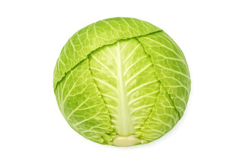 Fototapeta premium Fresh green cabbage with detailed leaf veins isolated on a black background