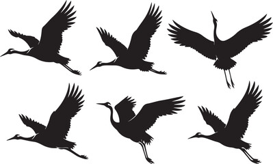 Obraz premium Seven black silhouettes of birds in various flight positions against a white background