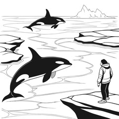 Black and white of orcas and person on ice floes whale © lll
