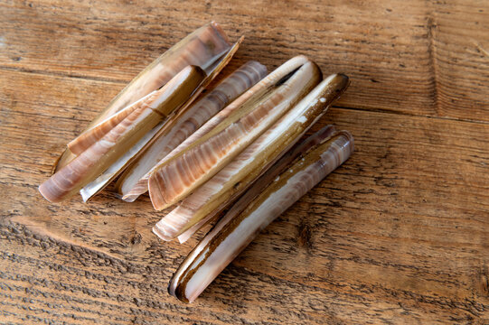 Atlantic jackknife clam, Ensis leei, aka known as the bamboo clam, American jackknife clam or razor clam shells. 

