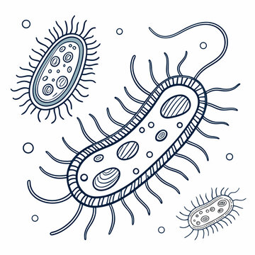 Detailed of bacteria cells with flagella and pili microorganisms