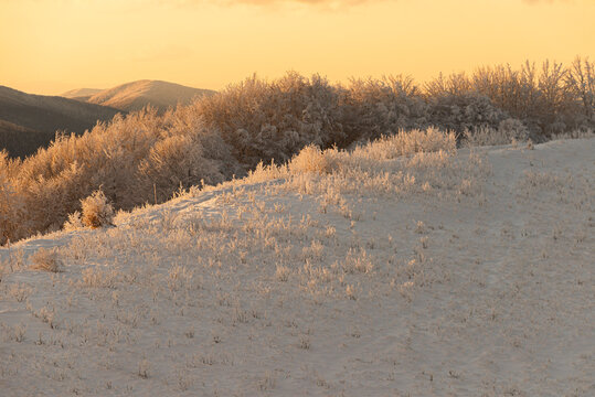 Scenic winter landscape of frosted mountain meadows and hills glowing in the golden light of a sunset or sunrise. Trail to Smerek, Bieszczady National Park, Poland.