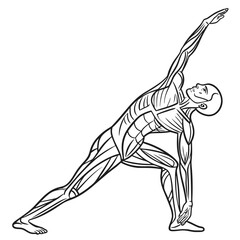 Man in triangle yoga pose with exposed muscles triangle pose