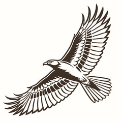 Obraz premium Brown eagle flying with outstretched wings bird