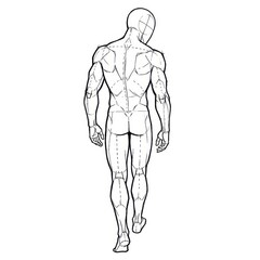 Ink sketch of man walking away, back to camera, isolated on white.