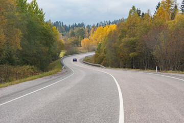 Fototapeta premium View of the highway in the forest. 