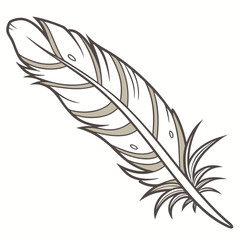 Obraz premium Of a single feather in brown and beige hues white background