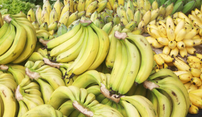 Many ripe yellow bananas as background	