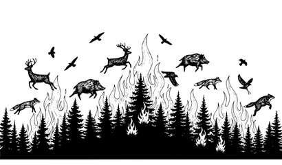 Forest Fire Vector Illustration Coniferous Trees Wild Animals Silhouettes Hand Drawn © Md