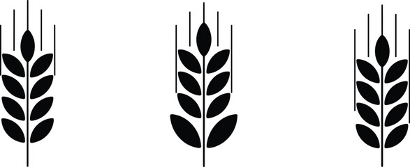 Three black and white wheat stalk with varying leaf and grain details stalks grains leaves © Hey there