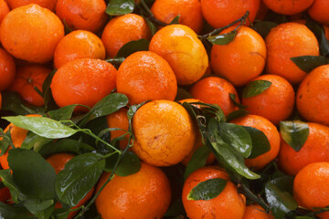 Many fresh tangerines as background	