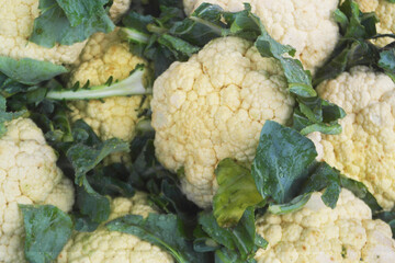 Fresh cauliflowers close up as background