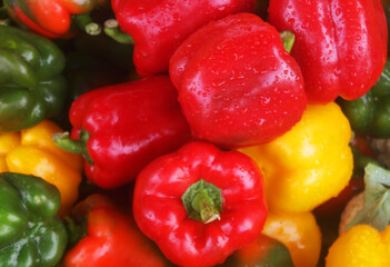Different sweet peppers close up
