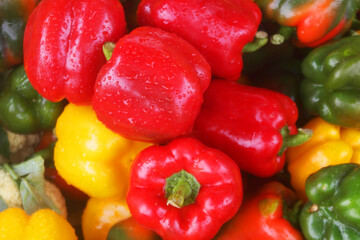 Different sweet peppers close up