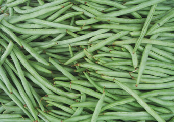 Many bean pods as background	