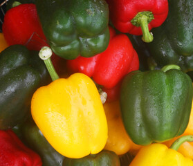 Different sweet peppers close up