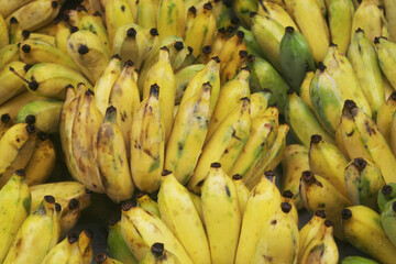 Many ripe yellow bananas as background	