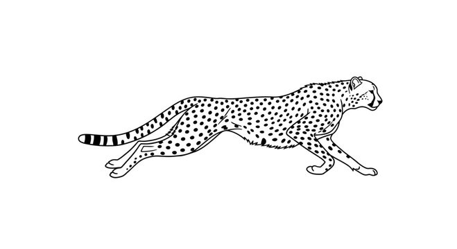 Dynamic cheetah illustration in black and white running gracefully.