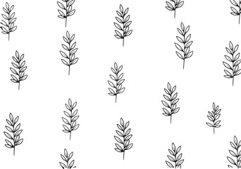 Simple Black Outline Botanical Branches Pattern White Background Hand Drawn Style © Md_Rakib