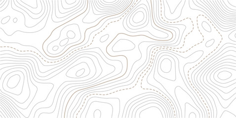 Abstract pattern with lines seamless pattern and topography.  Modern design with White background with topographic wavy pattern design.Contour background geographic grid. Vector illustration. © NAZMA