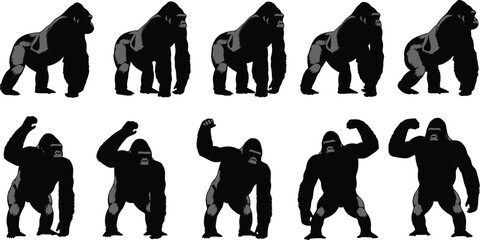 Set of gorilla silhouette vector illustrations featuring majestic silverback apes in various standing and knuckle walking poses for nature and wildlife design projects © Sujay