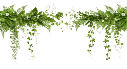 Obraz premium Lush green leafy vines and ferns arrangement hanging plants