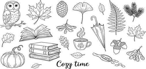 Cozy Autumn Hand Drawn Vector Set with Owl, Books, Pumpkin, Leaves, Coffee Cup and Umbrella, Fall Season Illustration Collection for Design © AB