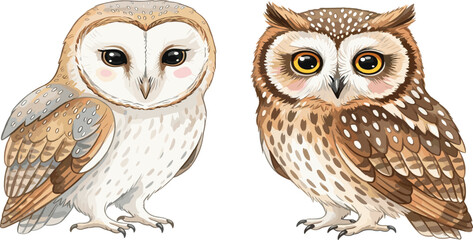 Fototapeta premium Cute Owl Cartoon Vector Set with Detailed Feathers and Big Eyes, Adorable Forest Bird Characters for Kids Design, Wildlife Illustration Collection