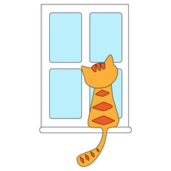 Kitty cat in front of the window