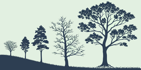A serene landscape featuring a row of tall, slender trees in a field. Vector © Sa