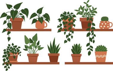 Obraz premium A fresh set of isolated potted plants and herbs with green leaves and rosemary growing in white flowerpots for spring home gardening