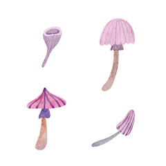 Watercolor pink mushroom collection hand drawn abstract style, isolated on a white background. A decorative element for decoration, menu design.