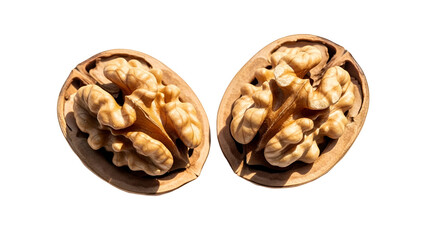 Obraz premium Two whole walnuts with detailed textures isolated on transparent background