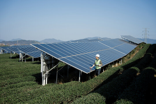 Worker inspecting solar panel arrays installed on a tea plantation hillside under clear sky