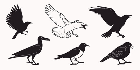 A variety of birds in flight and perched, showcasing different species and postures Vector