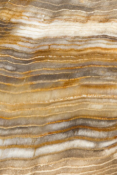 Fossilized wood pattern background