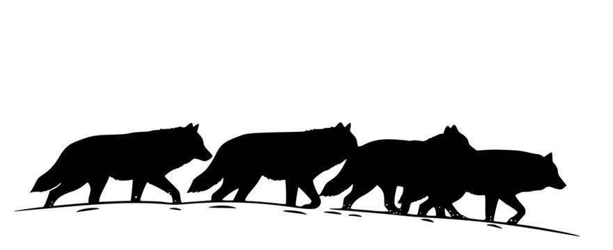 A group of wolves walking on a hill with pine trees in the background, animal, forest, illustration, pack, pine, profile, snow, walk, wild, wolf, against transparent background