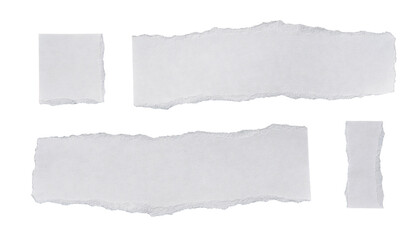 Torn paper pieces on transparent background