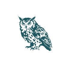 owl bird japanese chinese vector ink traditional asian design isolated