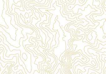 Fototapeta premium Curvas de nivel sobre fondo blanco. Mapa topográfico, cartografía.