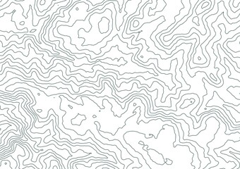 Fototapeta premium Curvas de nivel sobre fondo blanco. Mapa topográfico, cartografía.