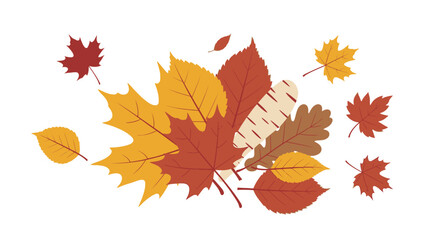 Fototapeta premium Autumnal foliage isolated illustration of colorful leaves for design