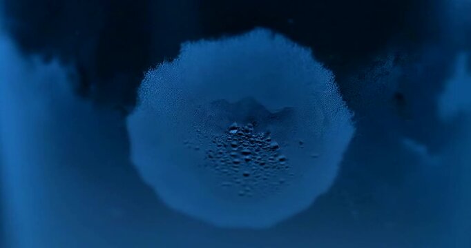 Blue Cloud Formation in Dark Sky.