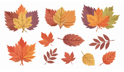 Fototapeta premium Watercolor fall autumn leaves vector set for seasonal design