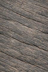 Rhinoceros Horn Texture Seamless Pattern. Close-up rhino horn surface detail. Realistic rhinoceros horn natural keratin structure texture design. Detailed macro close-up. Wildlife mammal pattern.