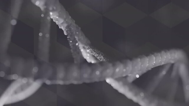 Animation of dna over grey background