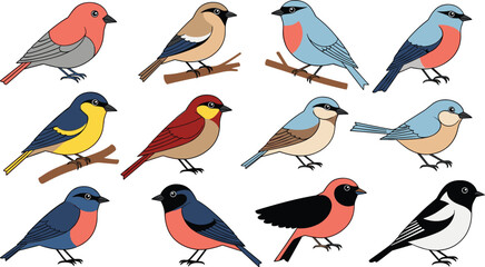 Colorful Songbird Illustration Set with Perching Garden Birds in Flat Cartoon Style for Nature and Wildlife Design © Mdsabbir